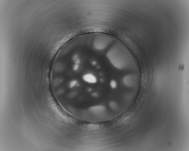 X0000113060394200909110920