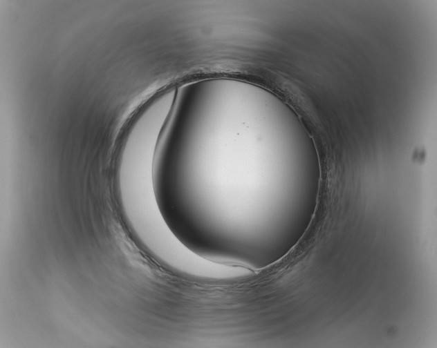 X0000113060395200909110920