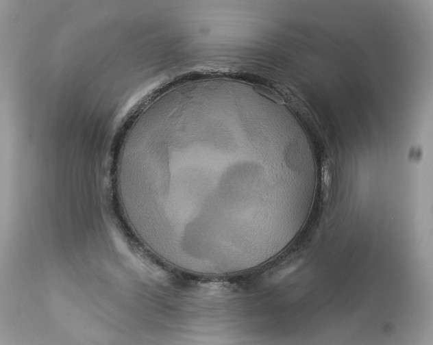 X0000113060396200909110920