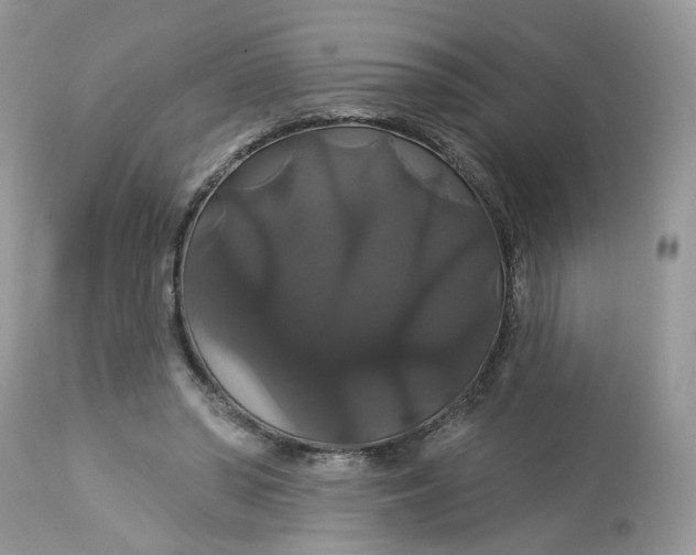 X0000113060398200909110920