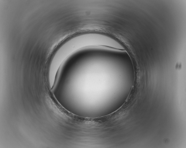 X0000113060399200909110920
