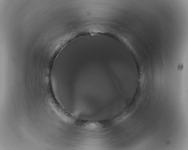 X0000113060402200909110920