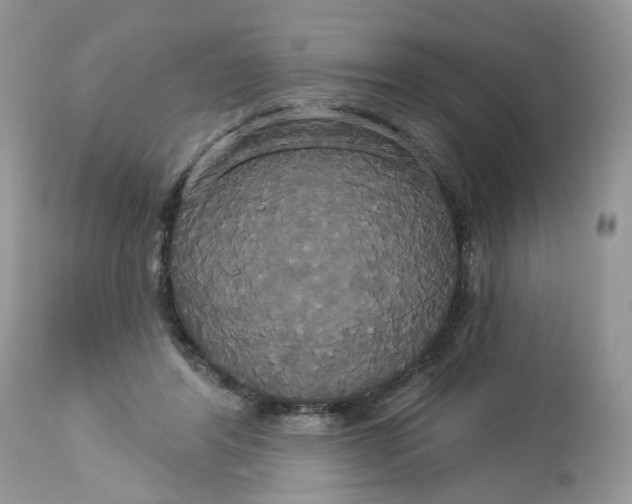 X0000113060404200909110920