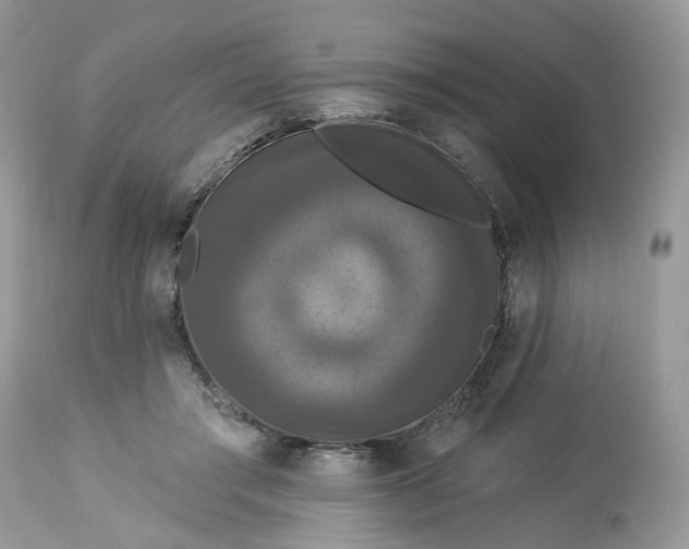X0000113060405200909110920