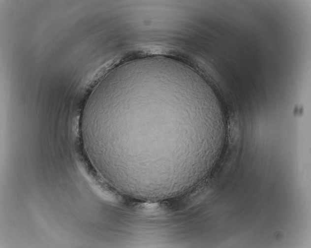 X0000113060406200909110920