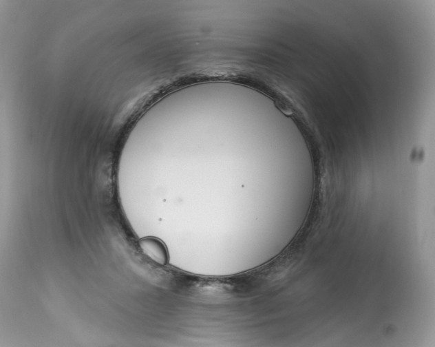 X0000113060407200909110920