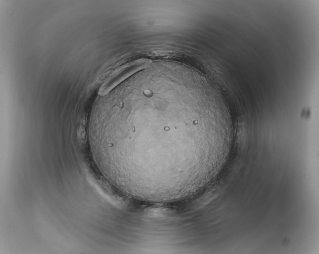 X0000113060408200909110920