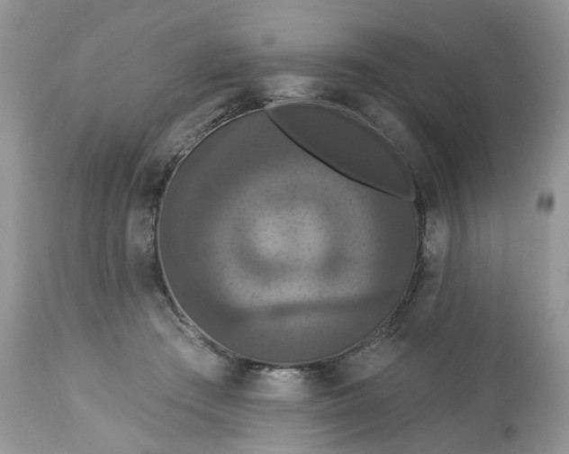 X0000113060409200909110920