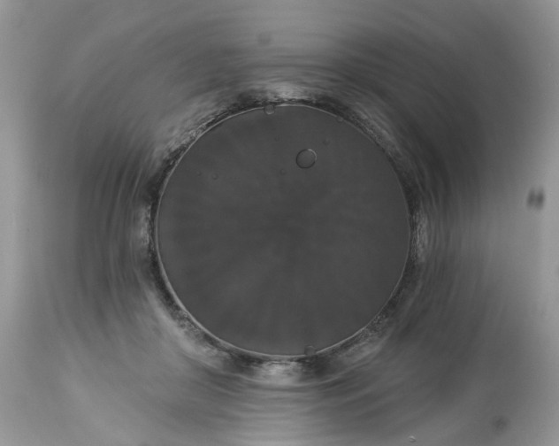 X0000113060410200909110920