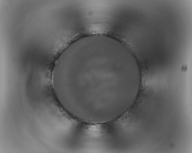 X0000113060411200909110920