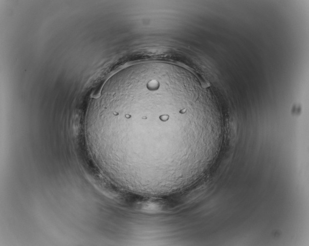 X0000113060412200909110920