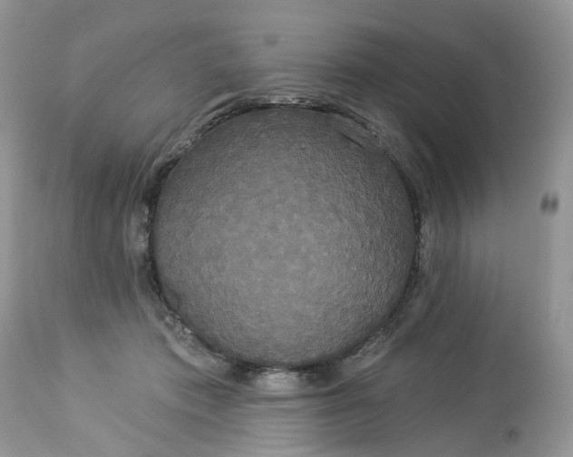 X0000113060413200909110920