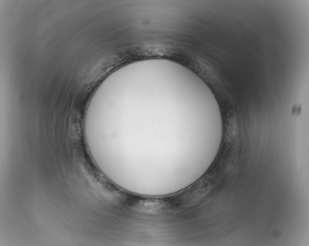 X0000113060414200909110920