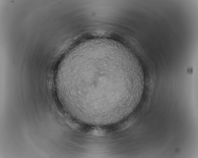X0000113060416200909110920