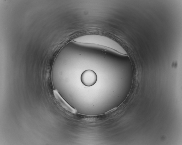 X0000113060417200909110920