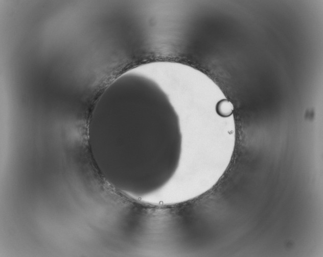 X0000113060419200909110920