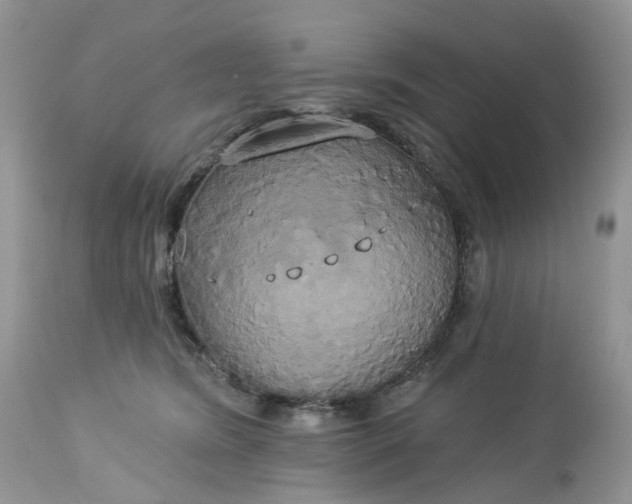 X0000113060420200909110920