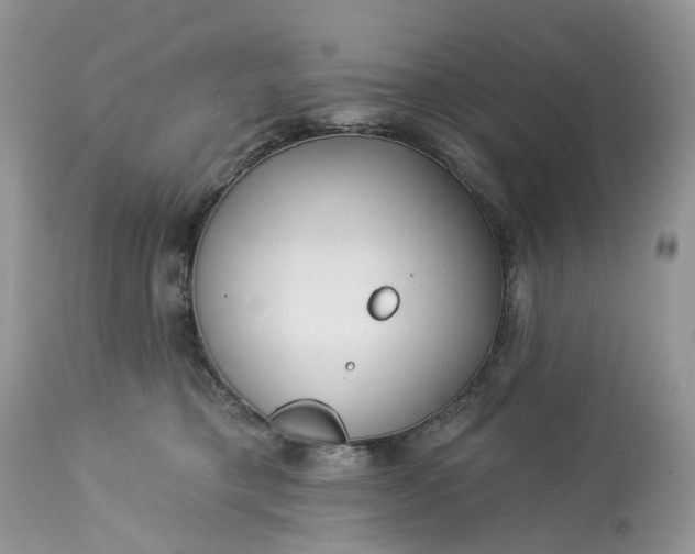 X0000113060421200909110920