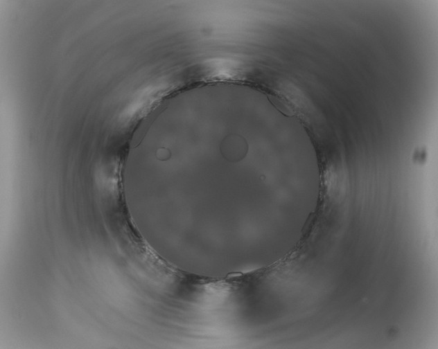 X0000113060423200909110920