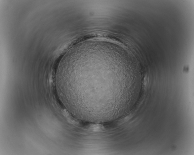 X0000113060424200909110920