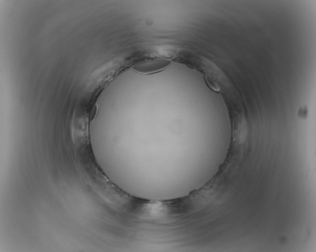 X0000113060425200909110920