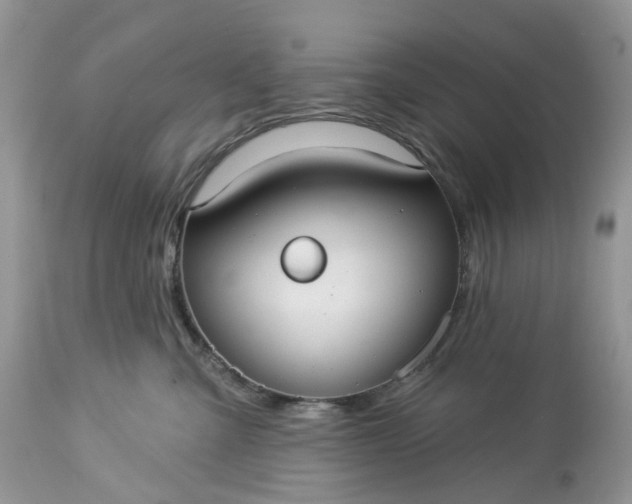 X0000113060427200909110920