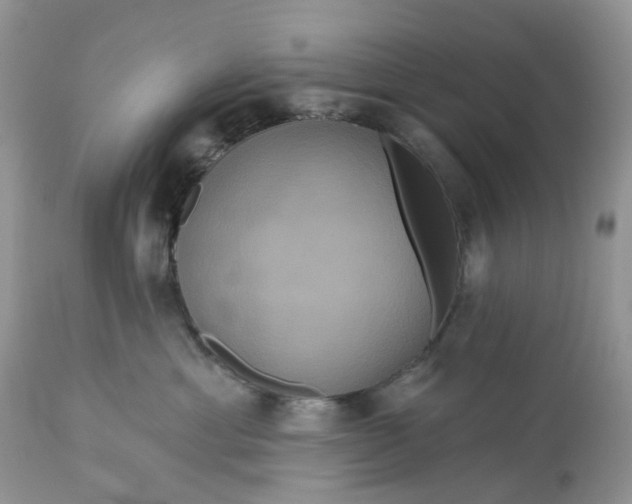 X0000113060429200909110920