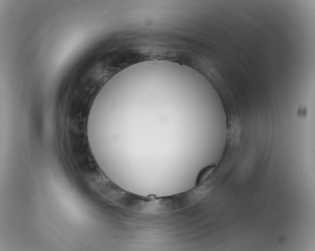 X0000113060430200909110920
