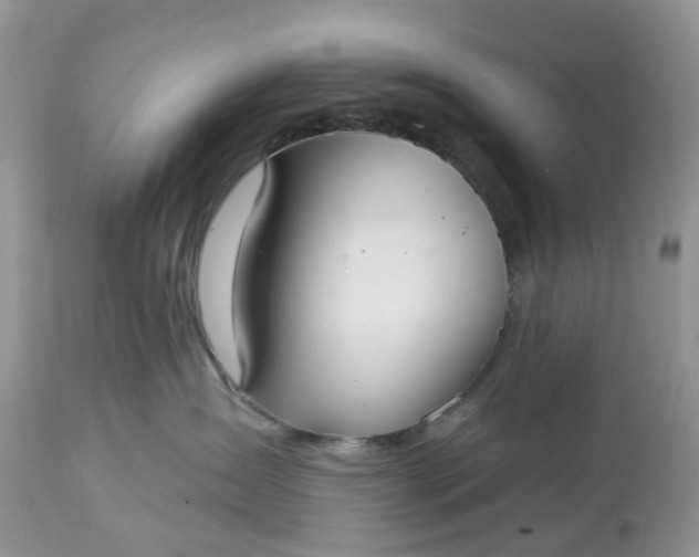X0000113060431200909110920