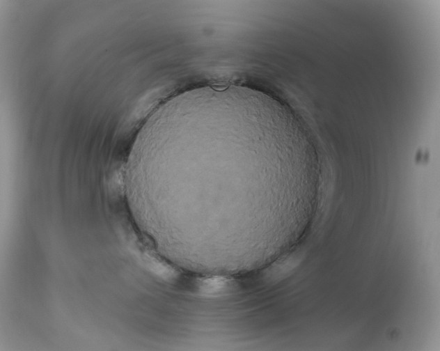 X0000113060432200909110920