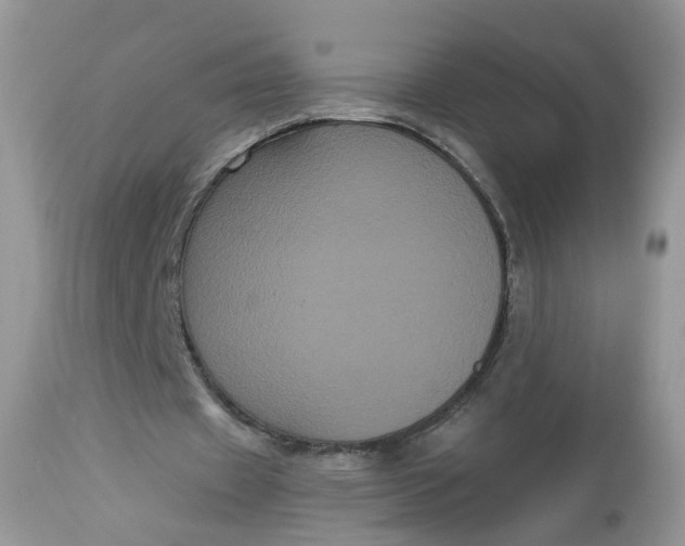 X0000113060433200909110919
