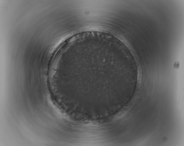 X0000113060434200909110919