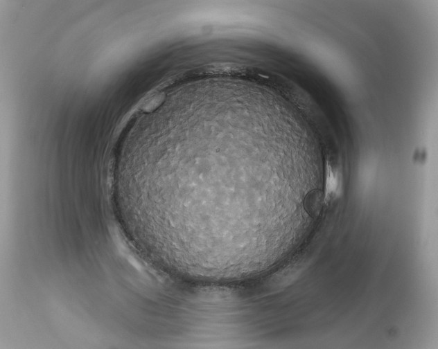 X0000113060435200909110919