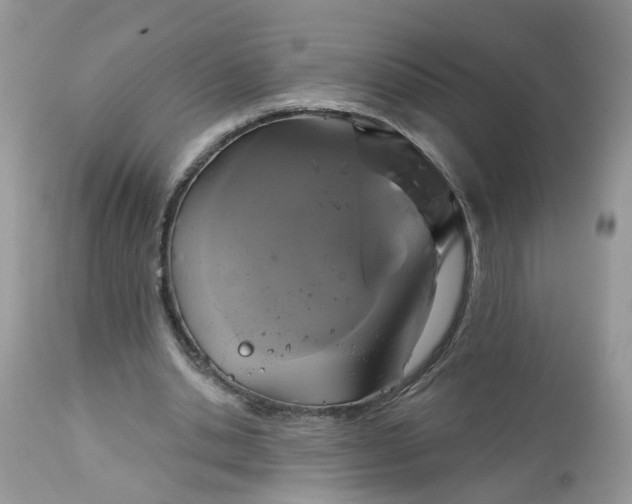 X0000113060438200909110919