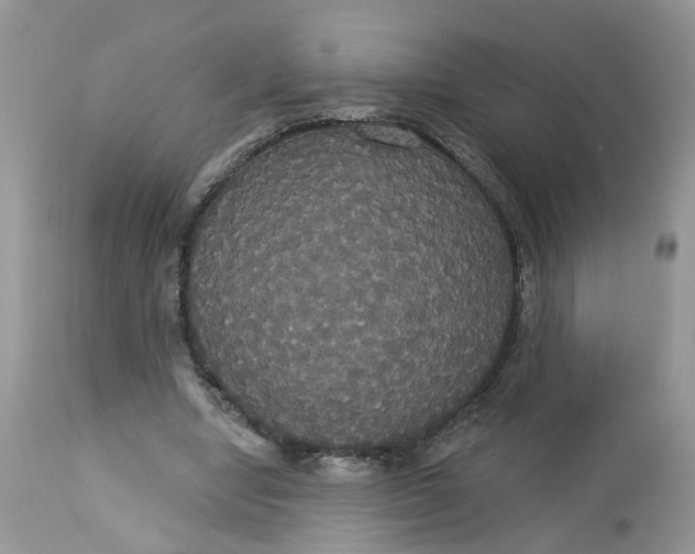 X0000113060442200909110919