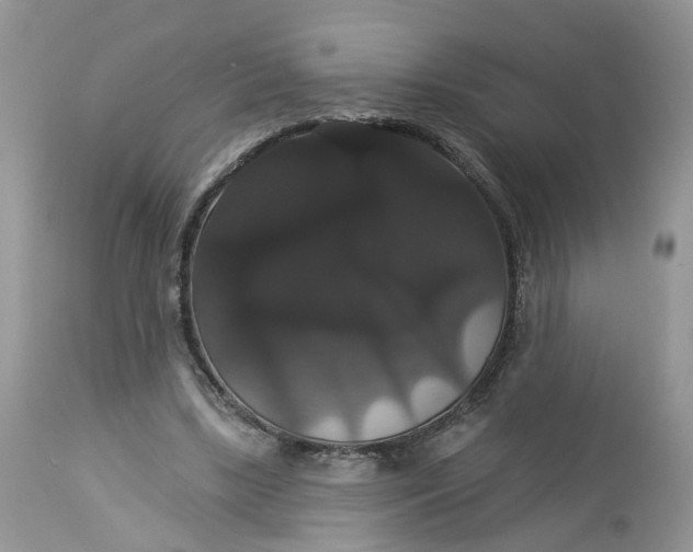 X0000113060443200909110919