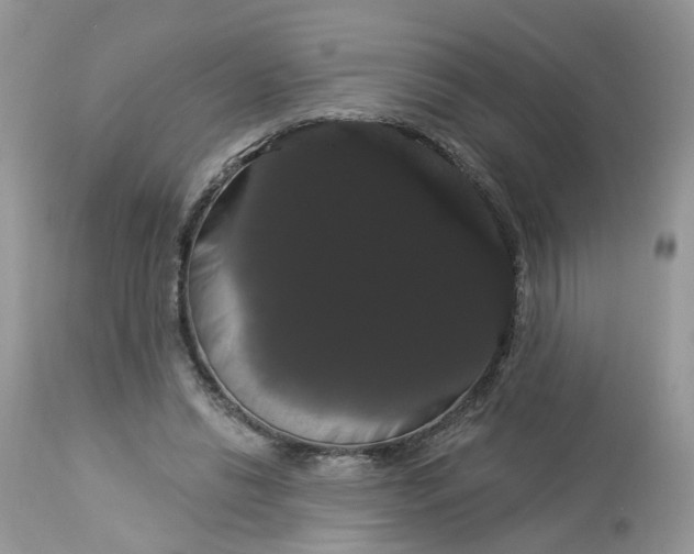 X0000113060446200909110919