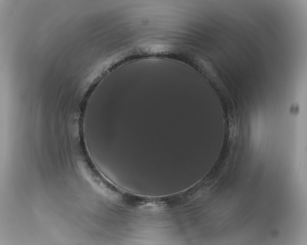 X0000113060447200909110919