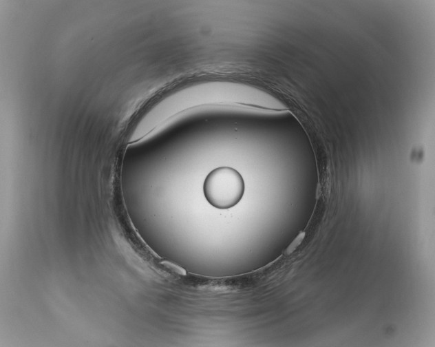 X0000113060448200909110919