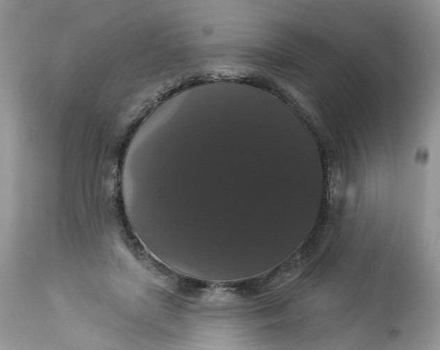 X0000113060451200909110919