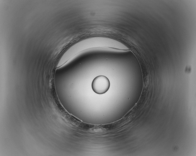 X0000113060452200909110919
