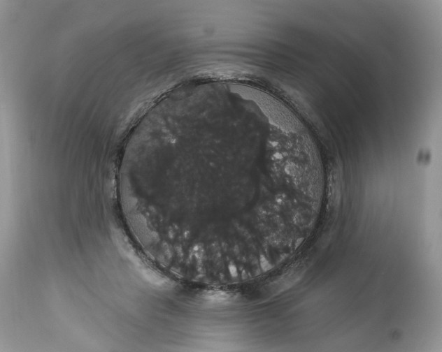 X0000113060453200909110919