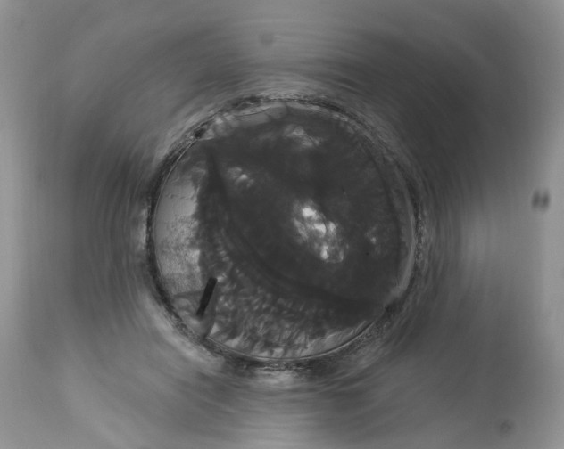 X0000113060454200909110919