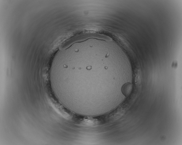 X0000113060455200909110919