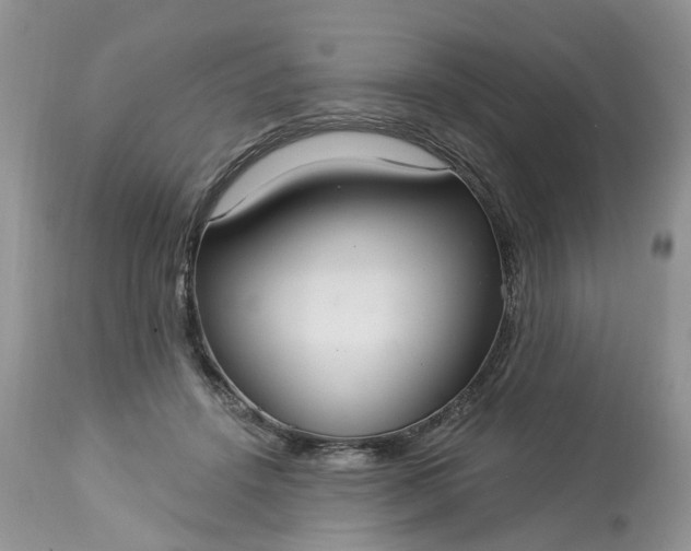 X0000113060456200909110919