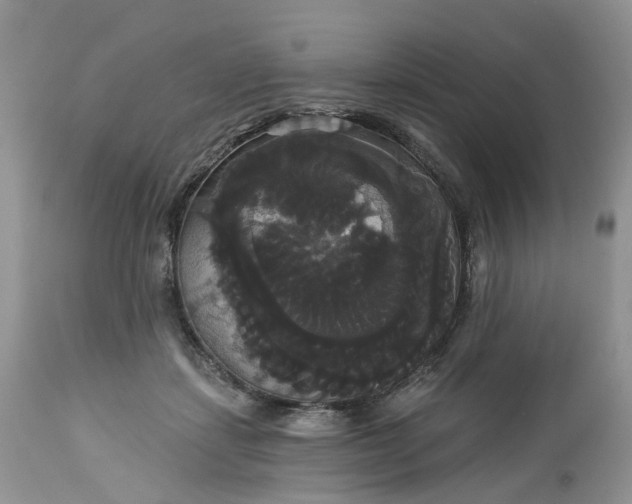 X0000113060459200909110919
