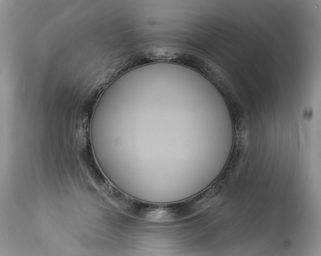 X0000113060460200909110919