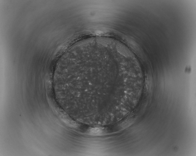 X0000113060461200909110919