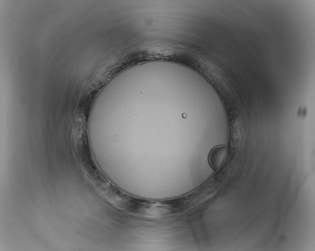 X0000113060463200909110919
