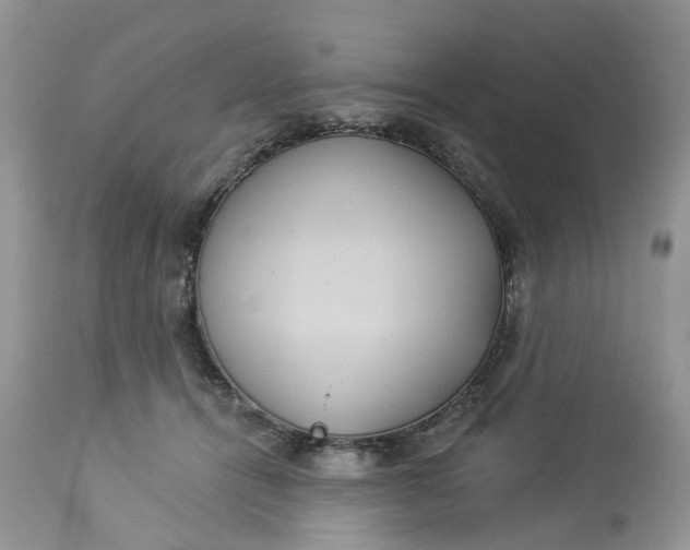 X0000113060464200909110919
